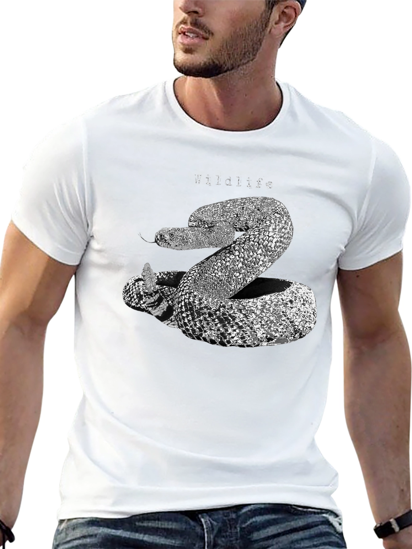 Wildlife Snake Graphic Print Black T-Shirt