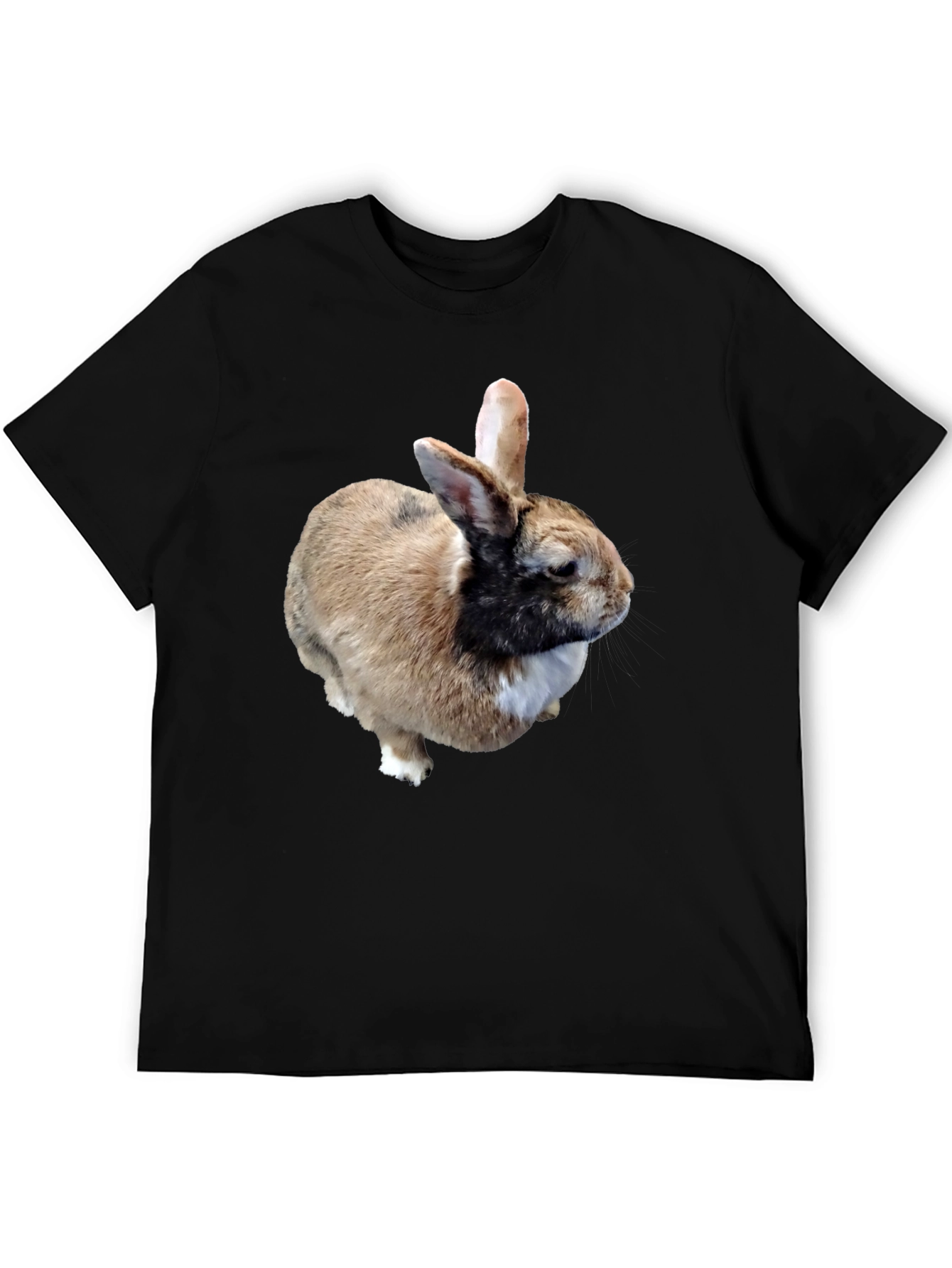 Rabbit Graphic T-Shirt - Black Casual Tee