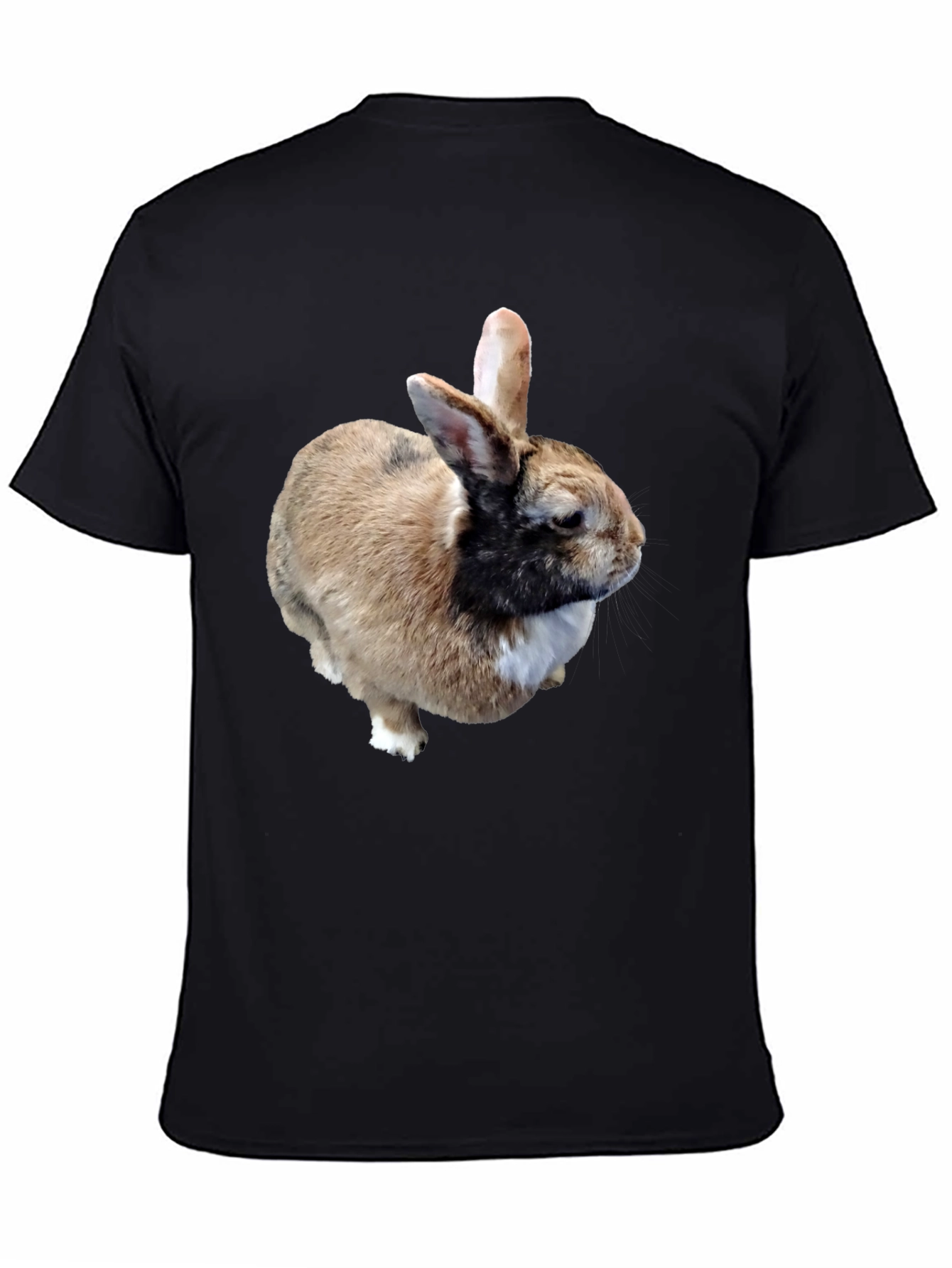 Rabbit Graphic T-Shirt - Black Casual Tee