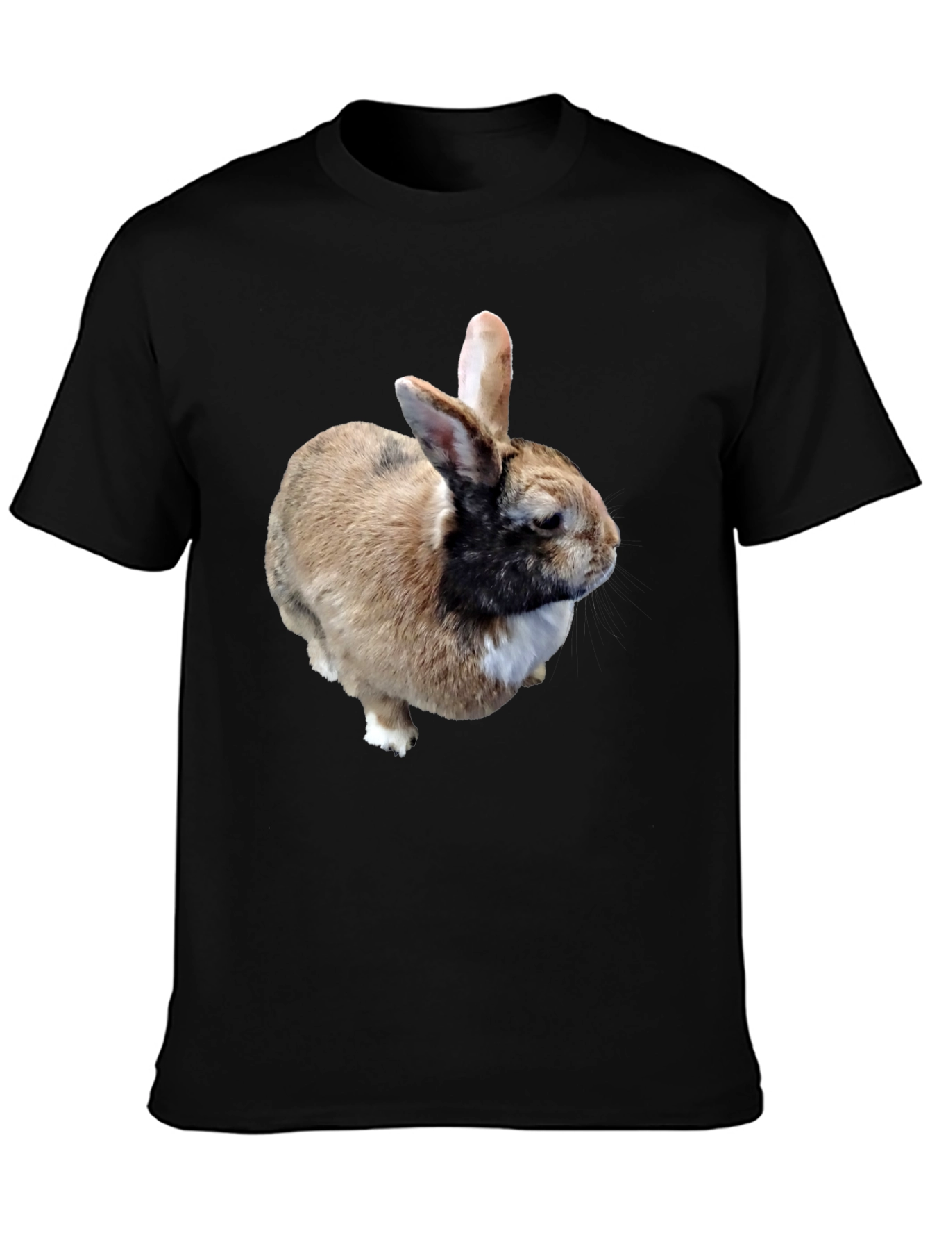 Rabbit Graphic T-Shirt - Black Casual Tee